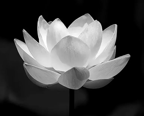 HLV vừa qu:a đ:ời ngay sau khi hoàn thành nhiệm vụ ở SEA Games 33