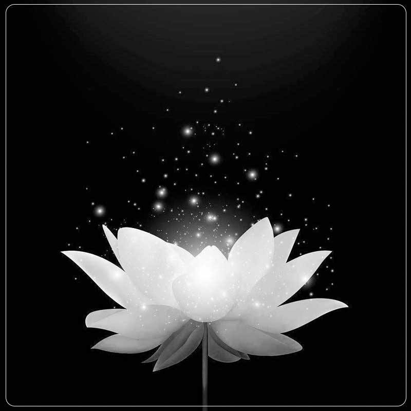 Nguyên nhân xe khách chở đoàn thiện nguyện lật ngửa, 9 người tuvong