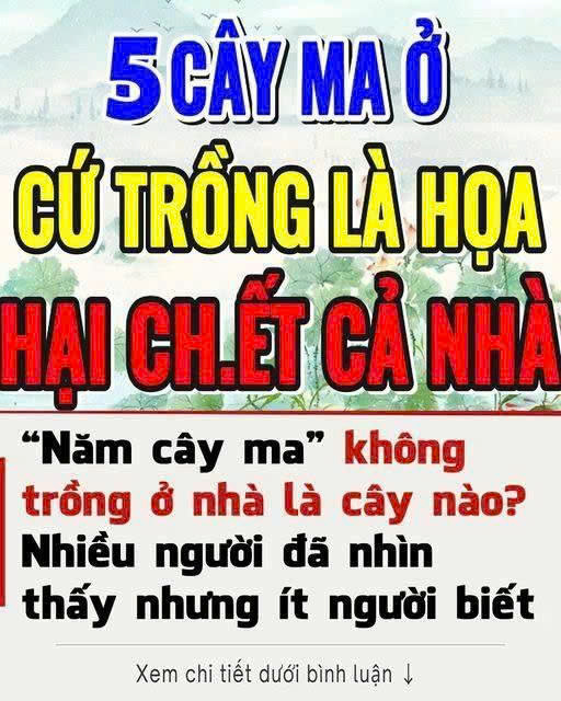 Năm cây ma không trồng ở nhà là năm loại cây nào? Ngoài đời nhiều người đã nhìn thấy nhưng ít người biết