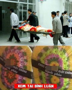 Sau khi chia tay bạn trai quen từ thời đại học, 3 tháng sau tôi lên xe hoa với người chồng hiện tại. Chồng hơn tôi tám tuổi